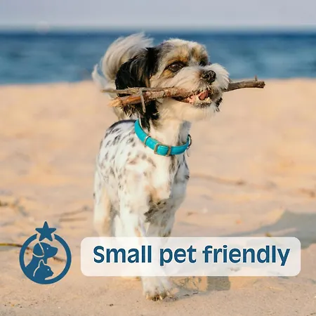 Appartamento Royal Pineta